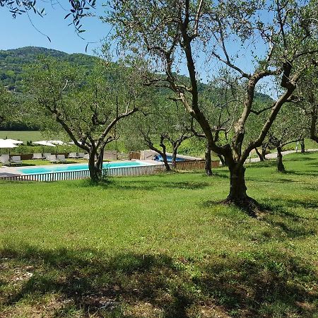 Il Vecchio Gelso - Agriturismo Rimini Montefiore Conca Vila Exterior foto
