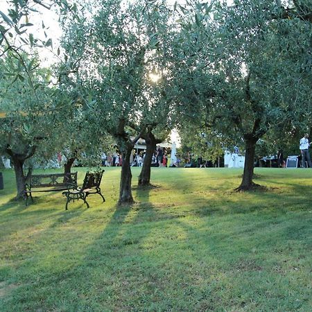 Il Vecchio Gelso - Agriturismo Rimini Montefiore Conca Vila Exterior foto