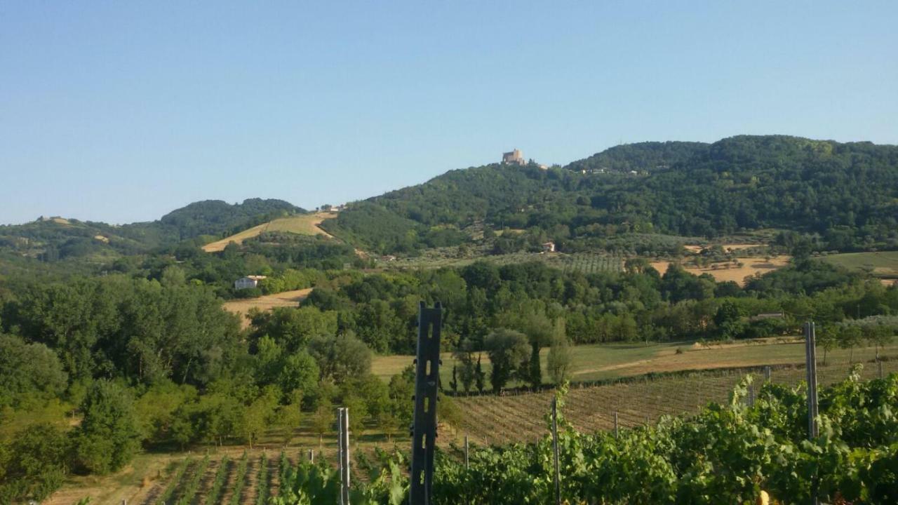 Il Vecchio Gelso - Agriturismo Rimini Montefiore Conca Vila Exterior foto
