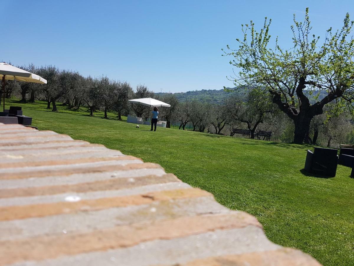 Il Vecchio Gelso - Agriturismo Rimini Montefiore Conca Vila Exterior foto