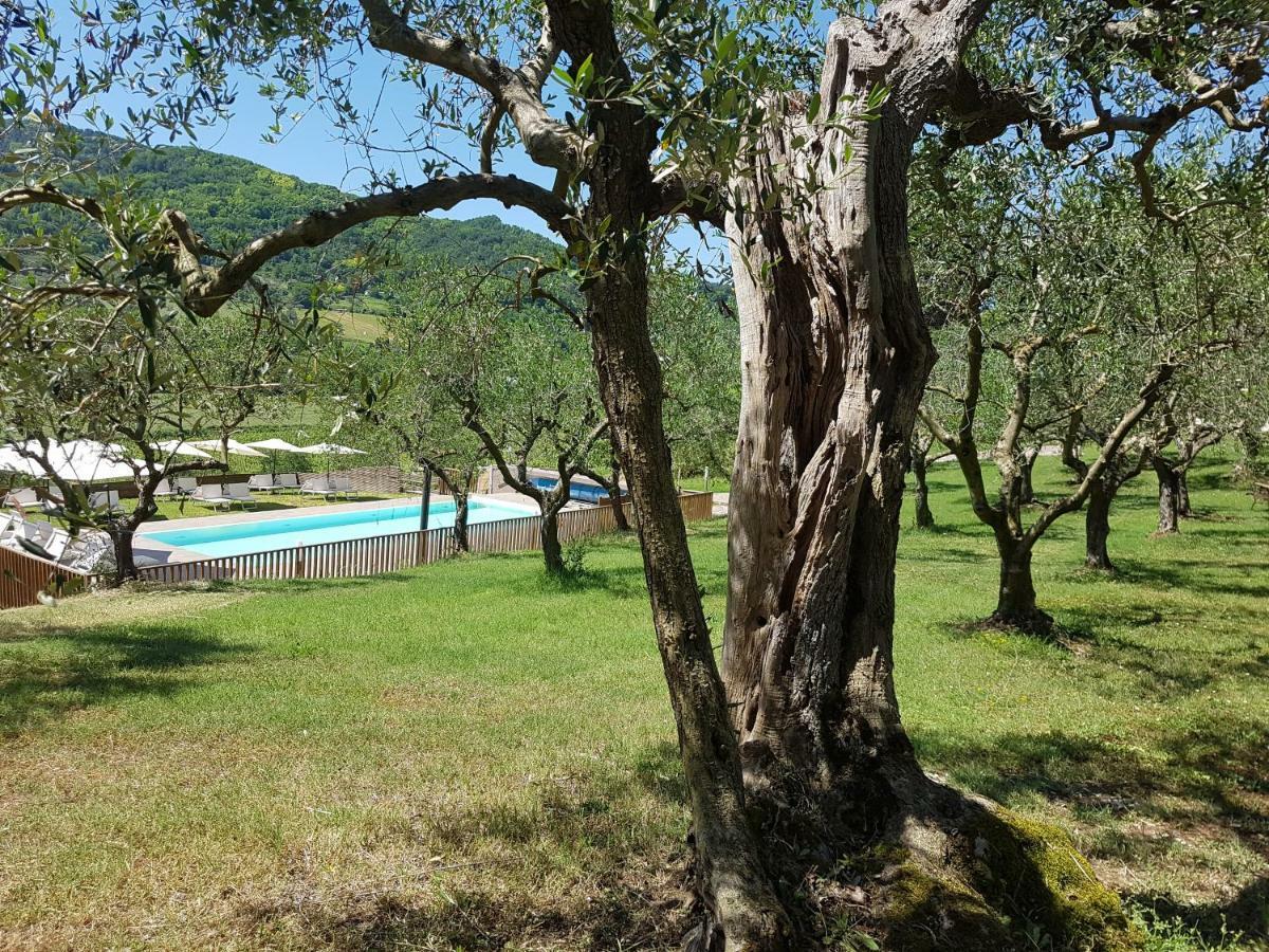 Il Vecchio Gelso - Agriturismo Rimini Montefiore Conca Vila Exterior foto