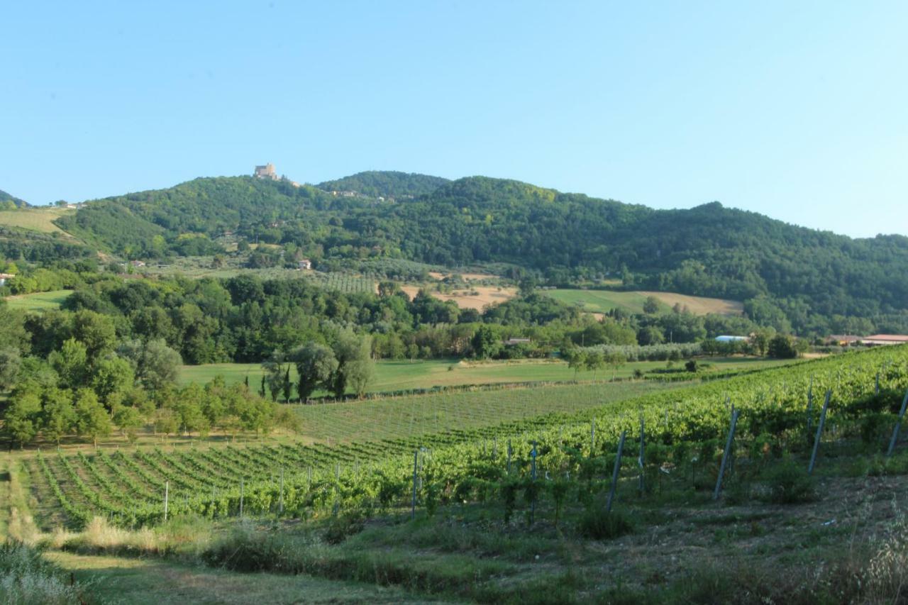 Il Vecchio Gelso - Agriturismo Rimini Montefiore Conca Vila Exterior foto