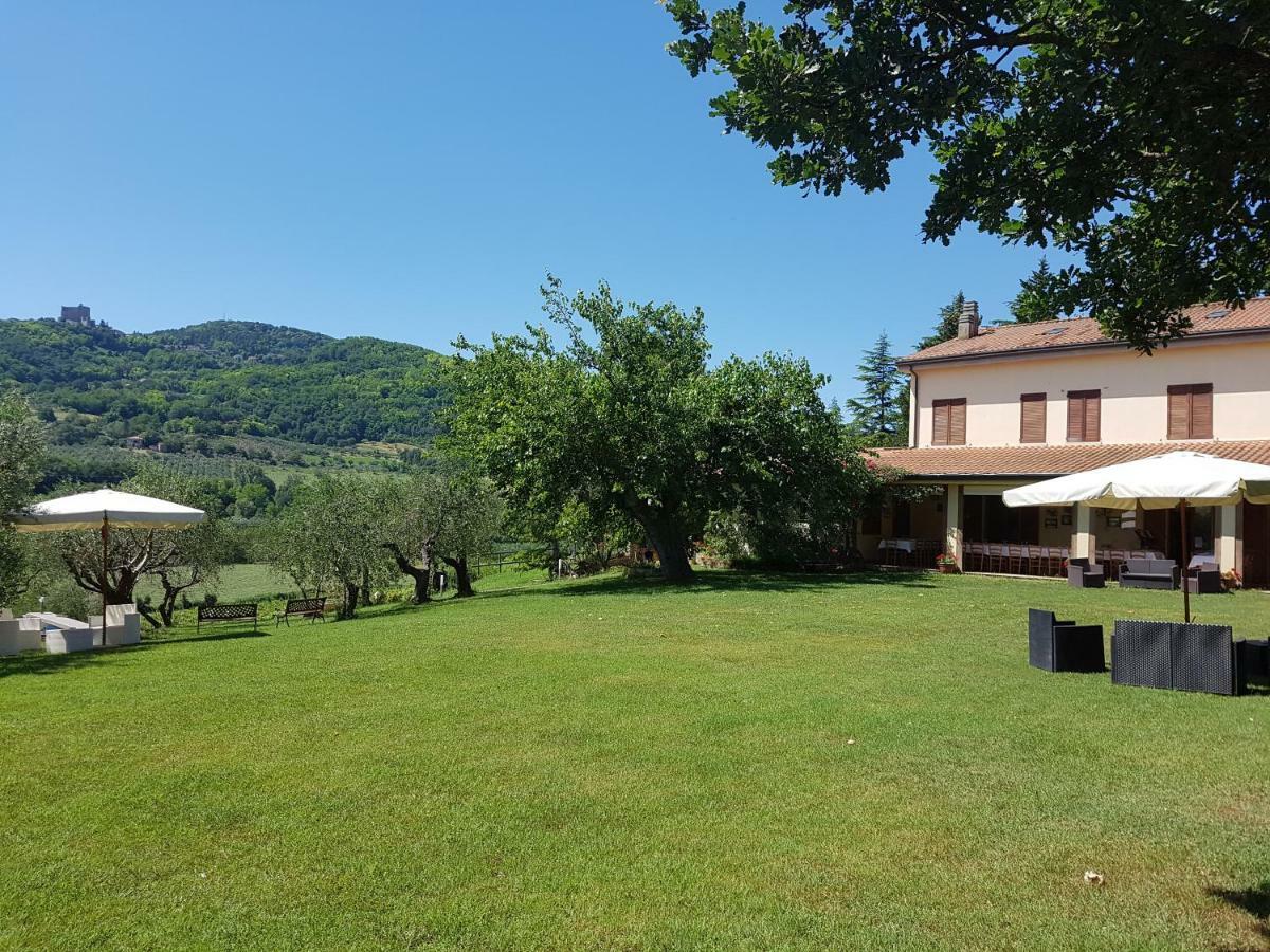 Il Vecchio Gelso - Agriturismo Rimini Montefiore Conca Vila Exterior foto