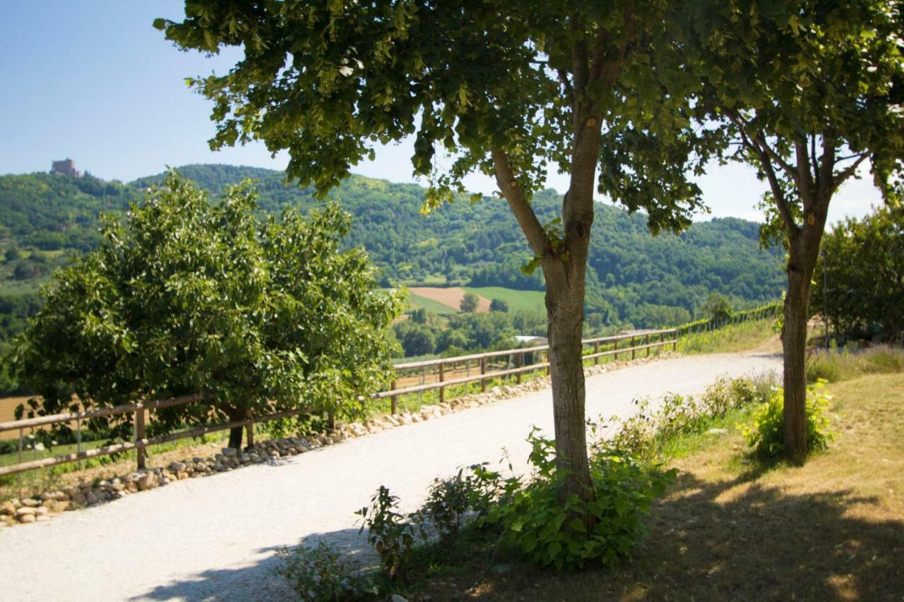 Il Vecchio Gelso - Agriturismo Rimini Montefiore Conca Vila Exterior foto