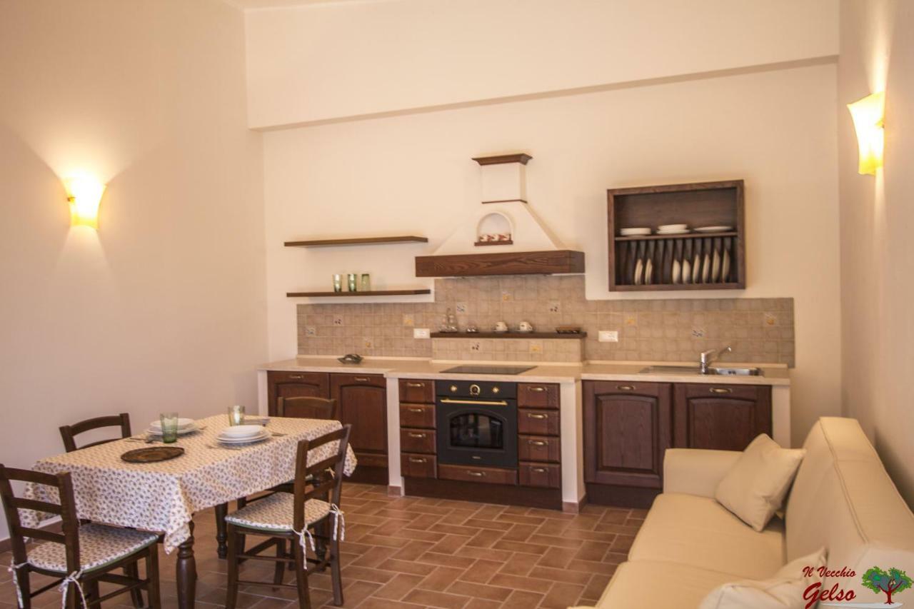 Il Vecchio Gelso - Agriturismo Rimini Montefiore Conca Vila Exterior foto