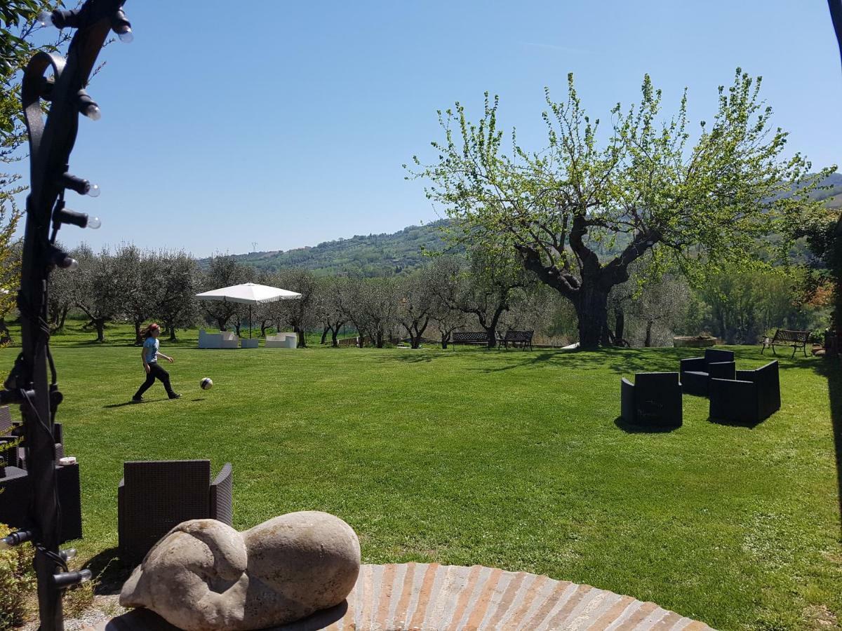 Il Vecchio Gelso - Agriturismo Rimini Montefiore Conca Vila Exterior foto