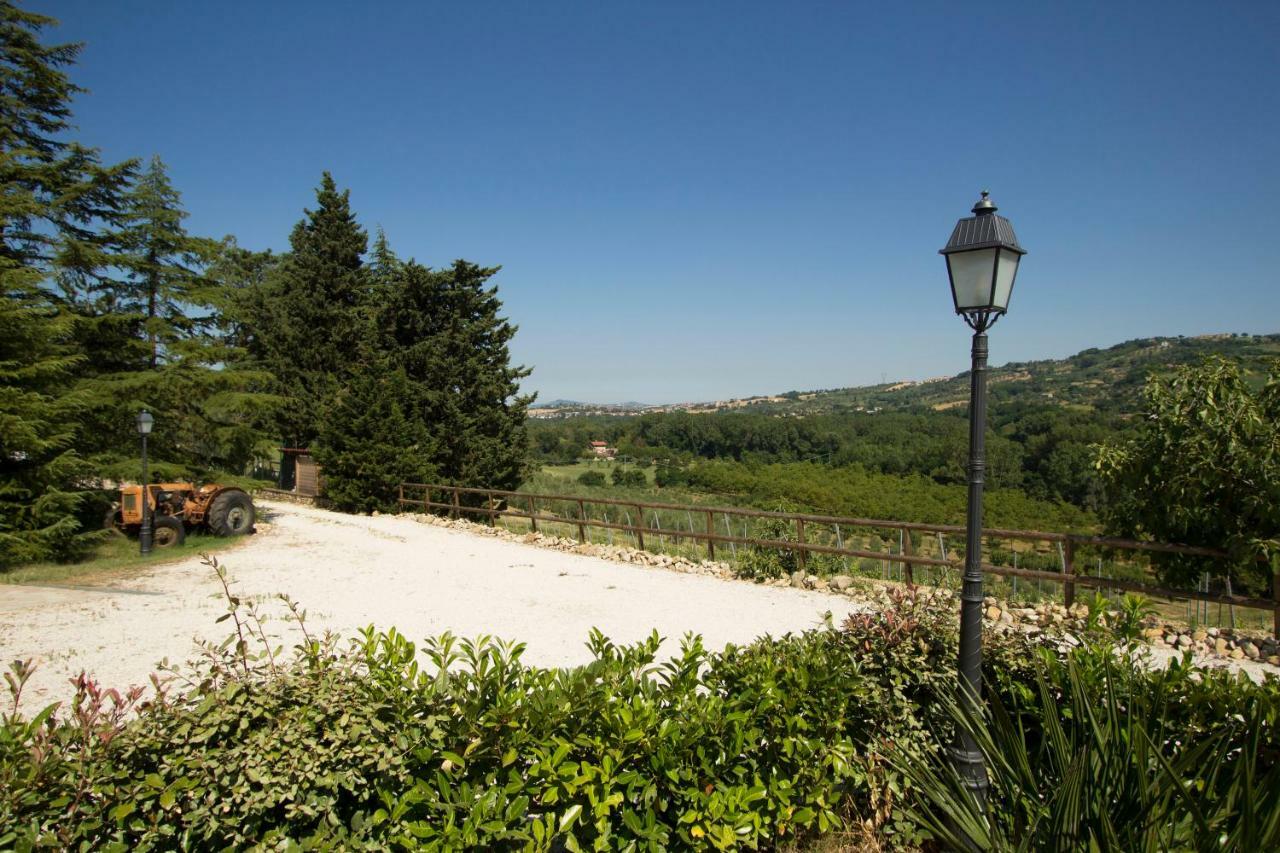 Il Vecchio Gelso - Agriturismo Rimini Montefiore Conca Vila Exterior foto