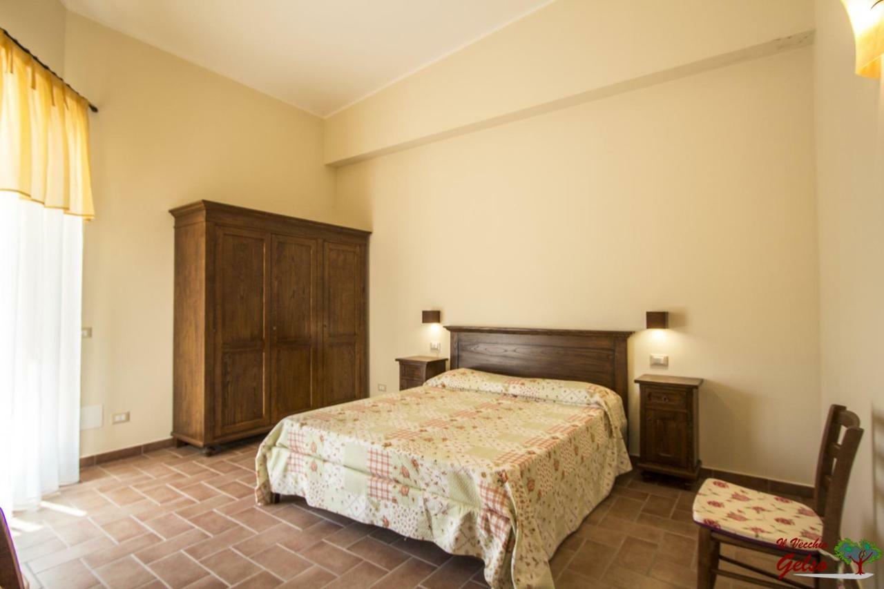 Il Vecchio Gelso - Agriturismo Rimini Montefiore Conca Vila Exterior foto