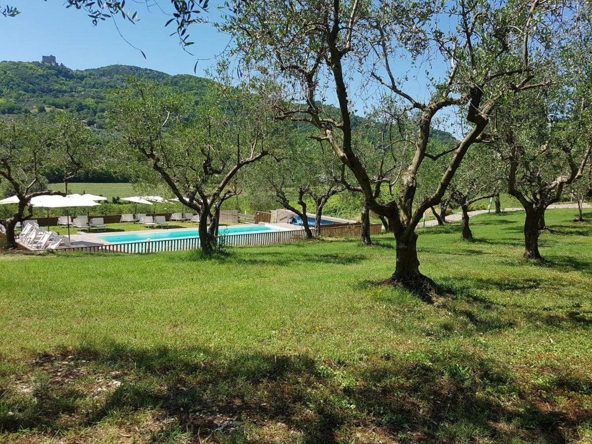 Il Vecchio Gelso - Agriturismo Rimini Montefiore Conca Vila Exterior foto