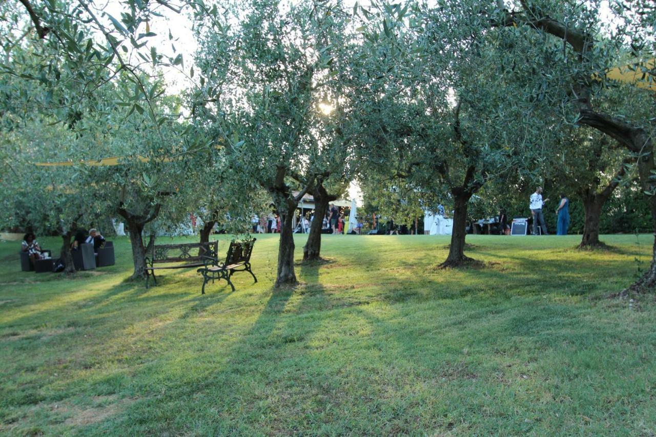 Il Vecchio Gelso - Agriturismo Rimini Montefiore Conca Vila Exterior foto