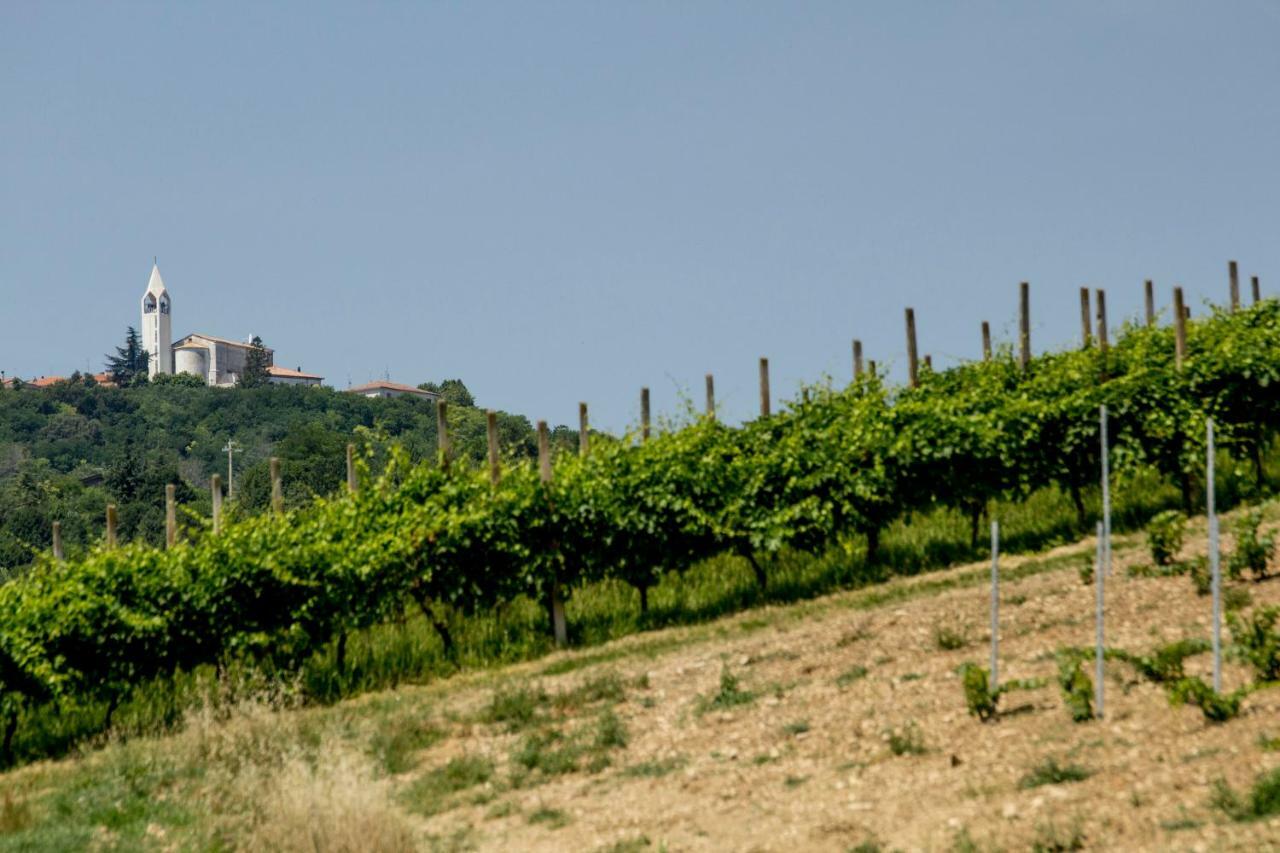 Il Vecchio Gelso - Agriturismo Rimini Montefiore Conca Vila Exterior foto