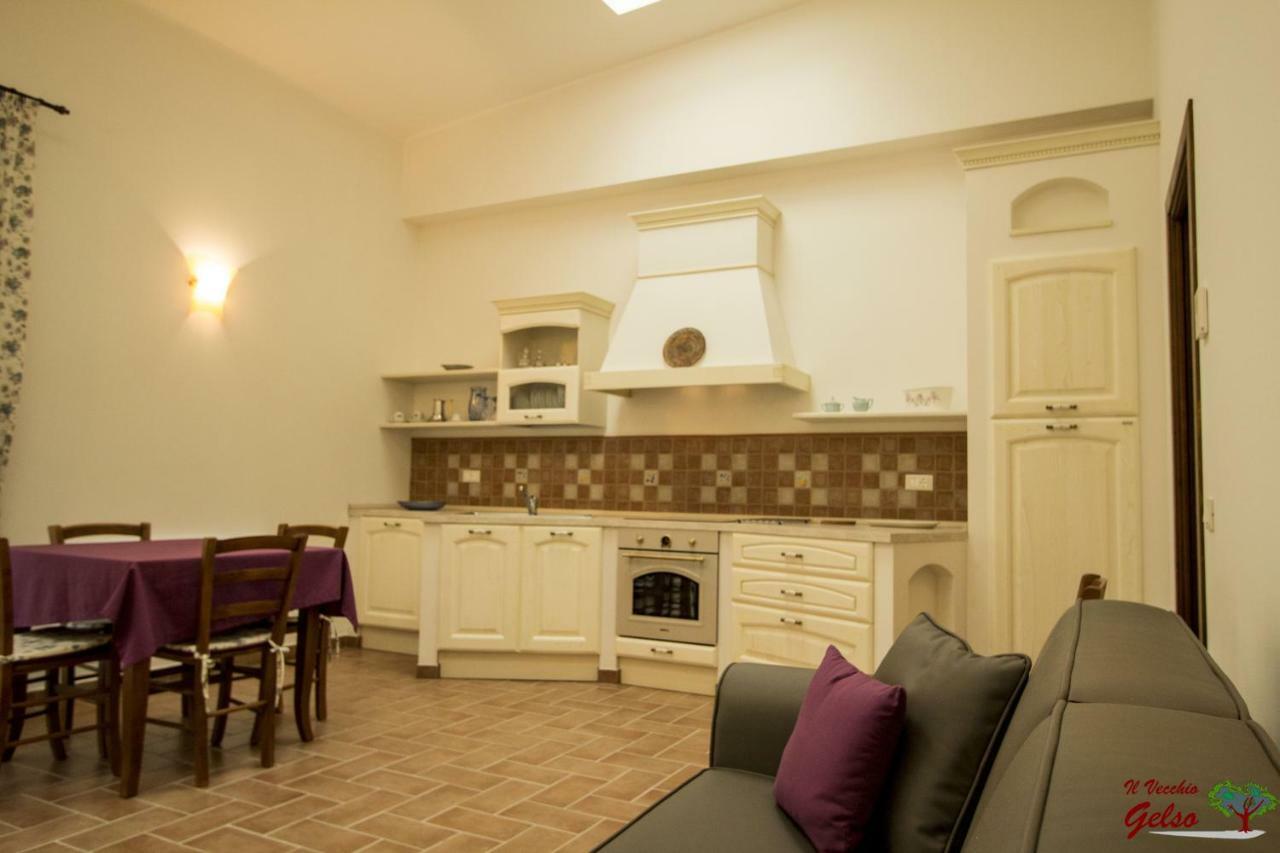 Il Vecchio Gelso - Agriturismo Rimini Montefiore Conca Vila Exterior foto